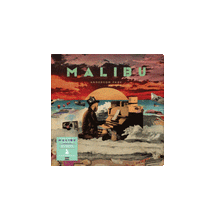 Load image into Gallery viewer, MALIBU 10 YEAR ANNIVERSARY ZOETROPE 2LP VINYL