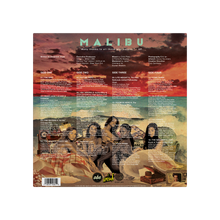 Load image into Gallery viewer, MALIBU 10 YEAR ANNIVERSARY SEA FLOOR 2LP VINYL