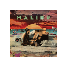 Load image into Gallery viewer, MALIBU 10 YEAR ANNIVERSARY ZOETROPE 2LP VINYL