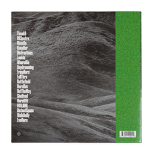 Load image into Gallery viewer, WHY LAWD? VINYL