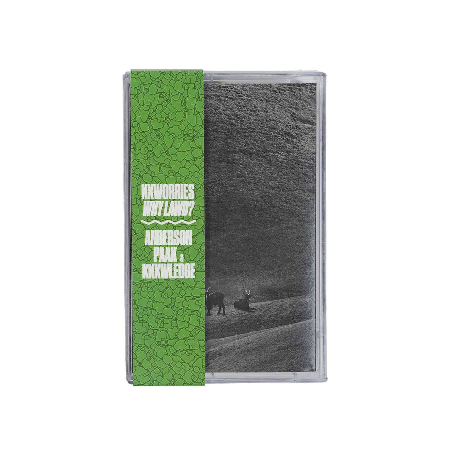 WHY LAWD? CASSETTE – Anderson .Paak | Official Store
