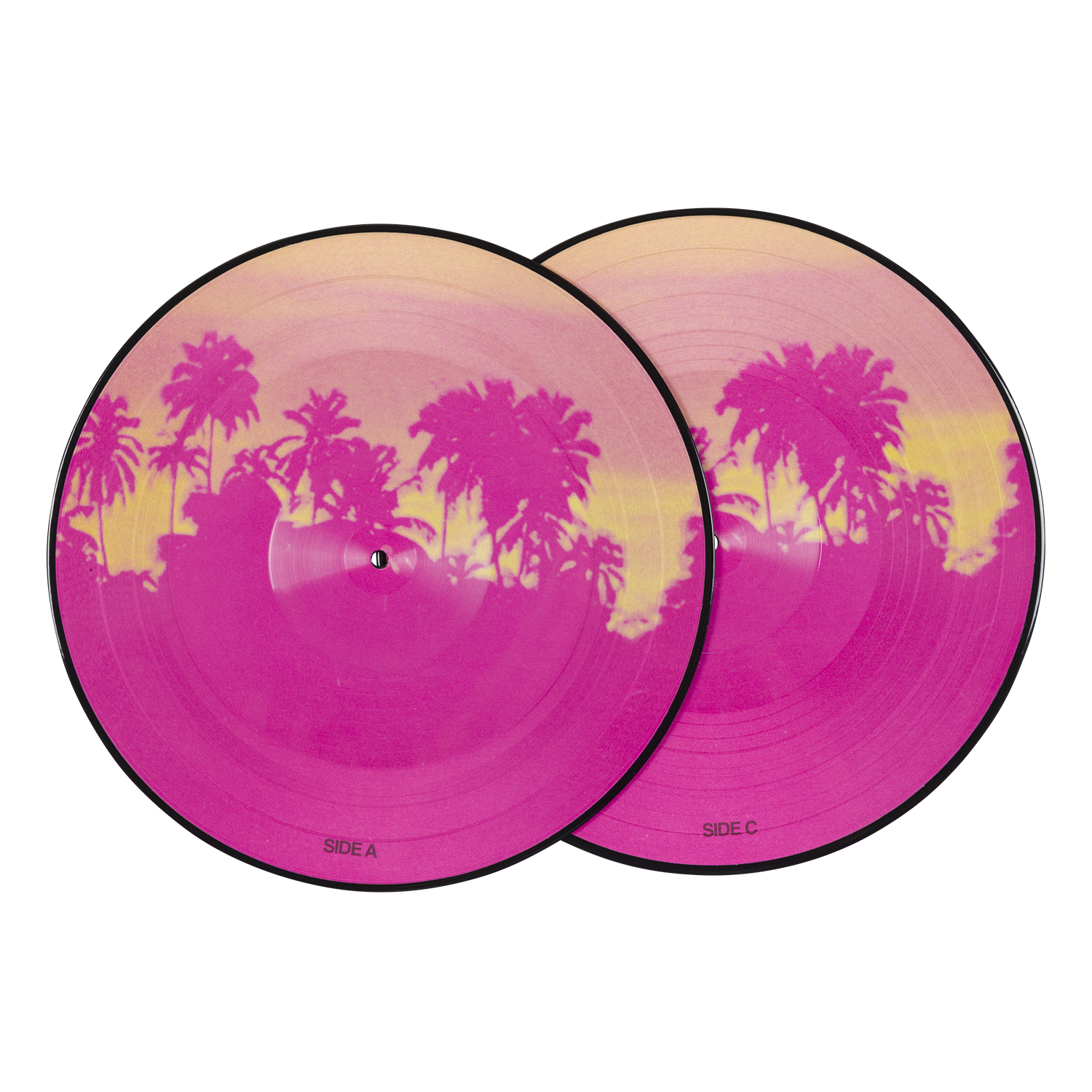 VENICE PICTURE DISC 2LP VINYL (10TH ANNIVERSARY EDITION