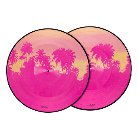 VENICE PICTURE DISC 2LP VINYL (10TH ANNIVERSARY EDITION)