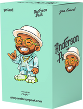 Load image into Gallery viewer, ANDERSON .PAAK COLLECTIBLE BOBBLEHEAD

