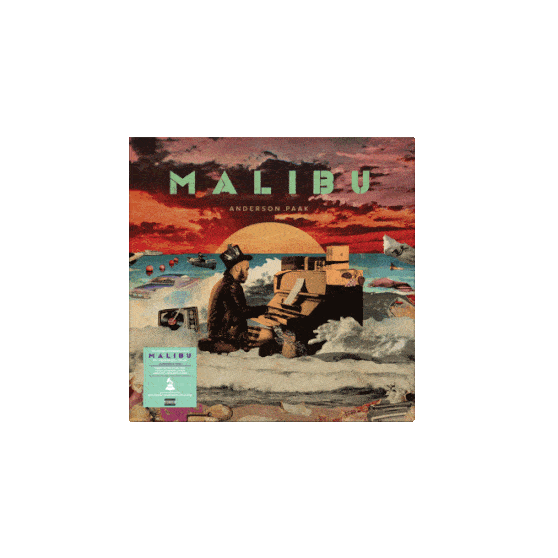 MALIBU 10 YEAR ANNIVERSARY ZOETROPE 2LP VINYL