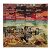 Load image into Gallery viewer, MALIBU PICTURE DISC 2LP VINYL (HOLLYWOOD BOWL EDITION)
