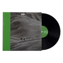 Load image into Gallery viewer, WHY LAWD? VINYL
